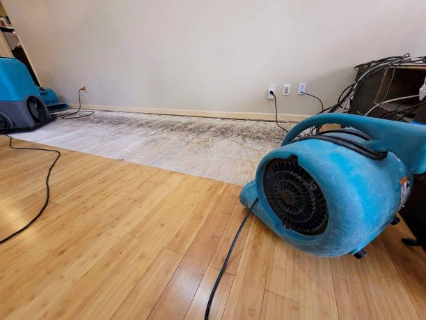 Professional Sewage Cleanup technician working in Collinsville, IL